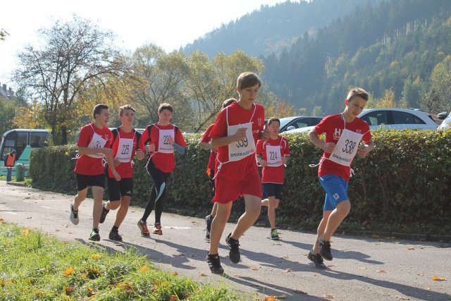 crosscountry_2015 104